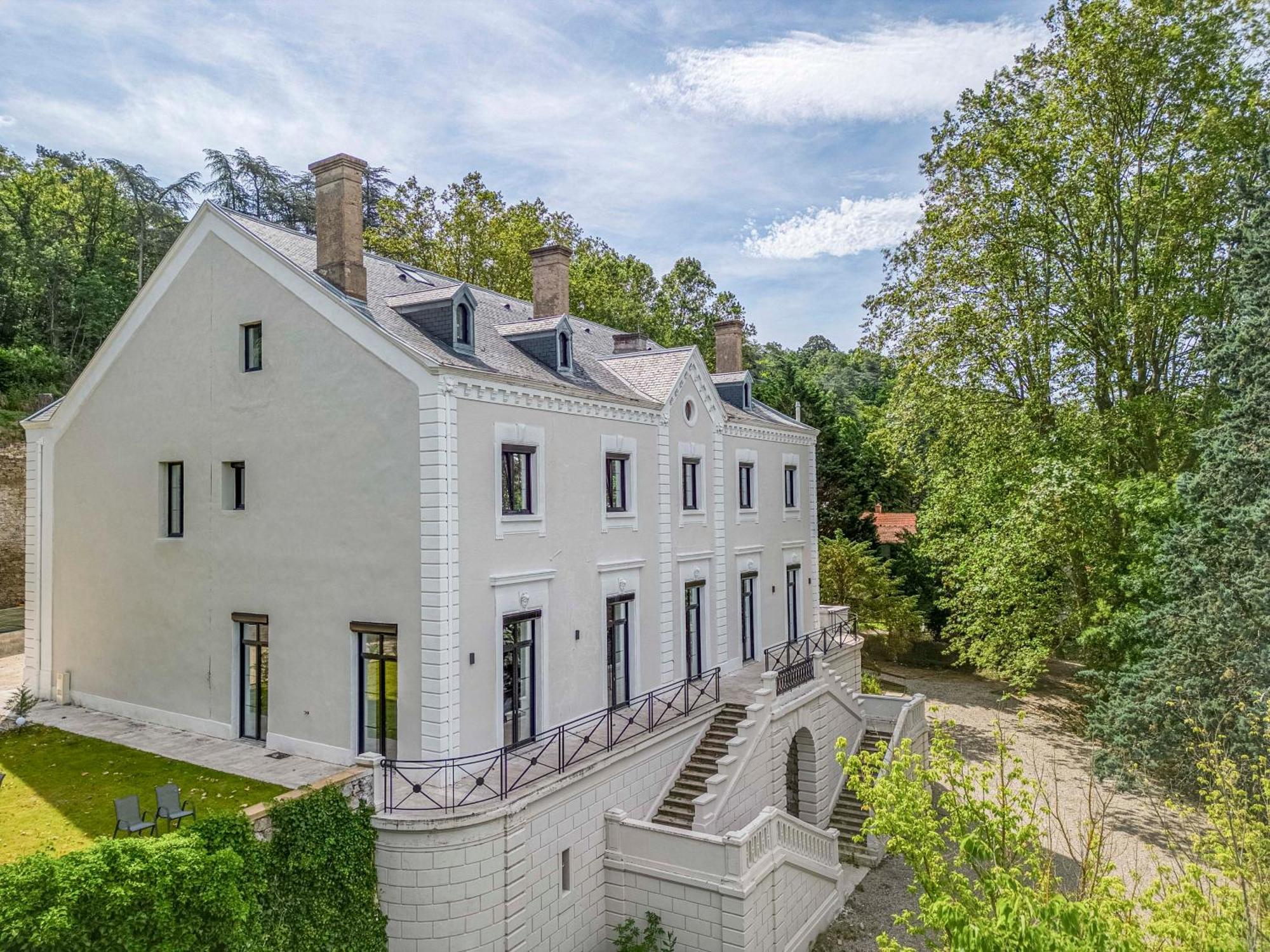 1 - Grand Spacieux Dans Un Chateau Du 17eme Siecle, A 15min De Lyon Apartment Vourles